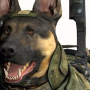 Call of Duty Ghosts Dog