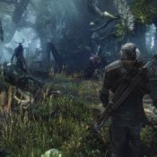 The Witcher 3: Wild Hunt 15 Minute Gameplay Footage