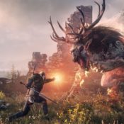 The Witcher 3: Wild Hunt Starter Tips