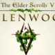This Guy’s Predictions For Elder Scrolls VI Is Hilariously Accurate