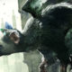 The Last Guardian PlayStation VR Demo Coming on December 12