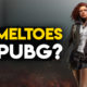 So, Female Characters On PUBG’s Test Servers Have Cameltoes.. [NSFW]