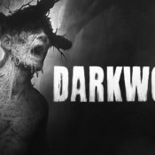 Darkwood – Review